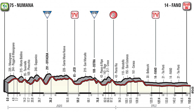 Stage 6 profile